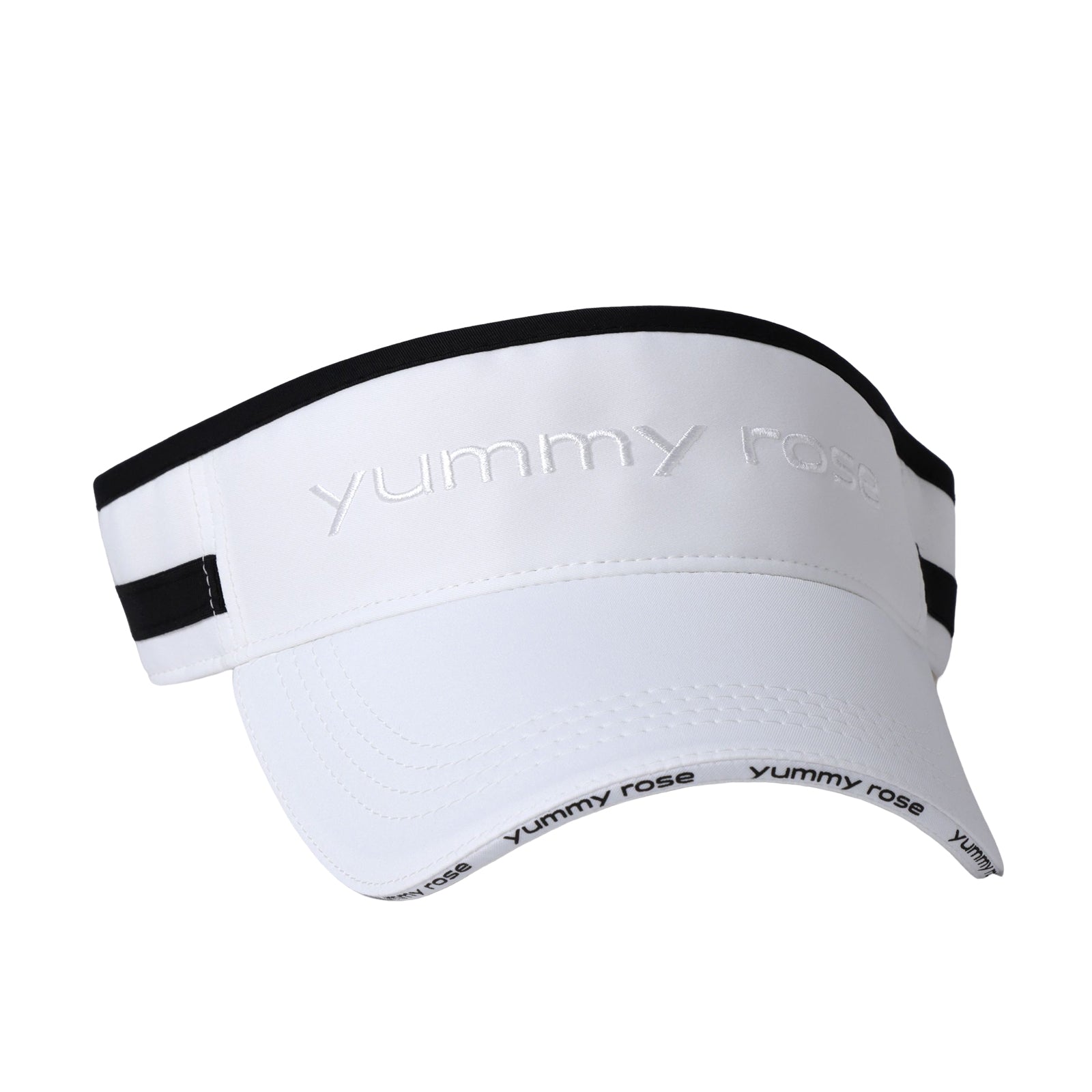 Logo Visor Ⅱ