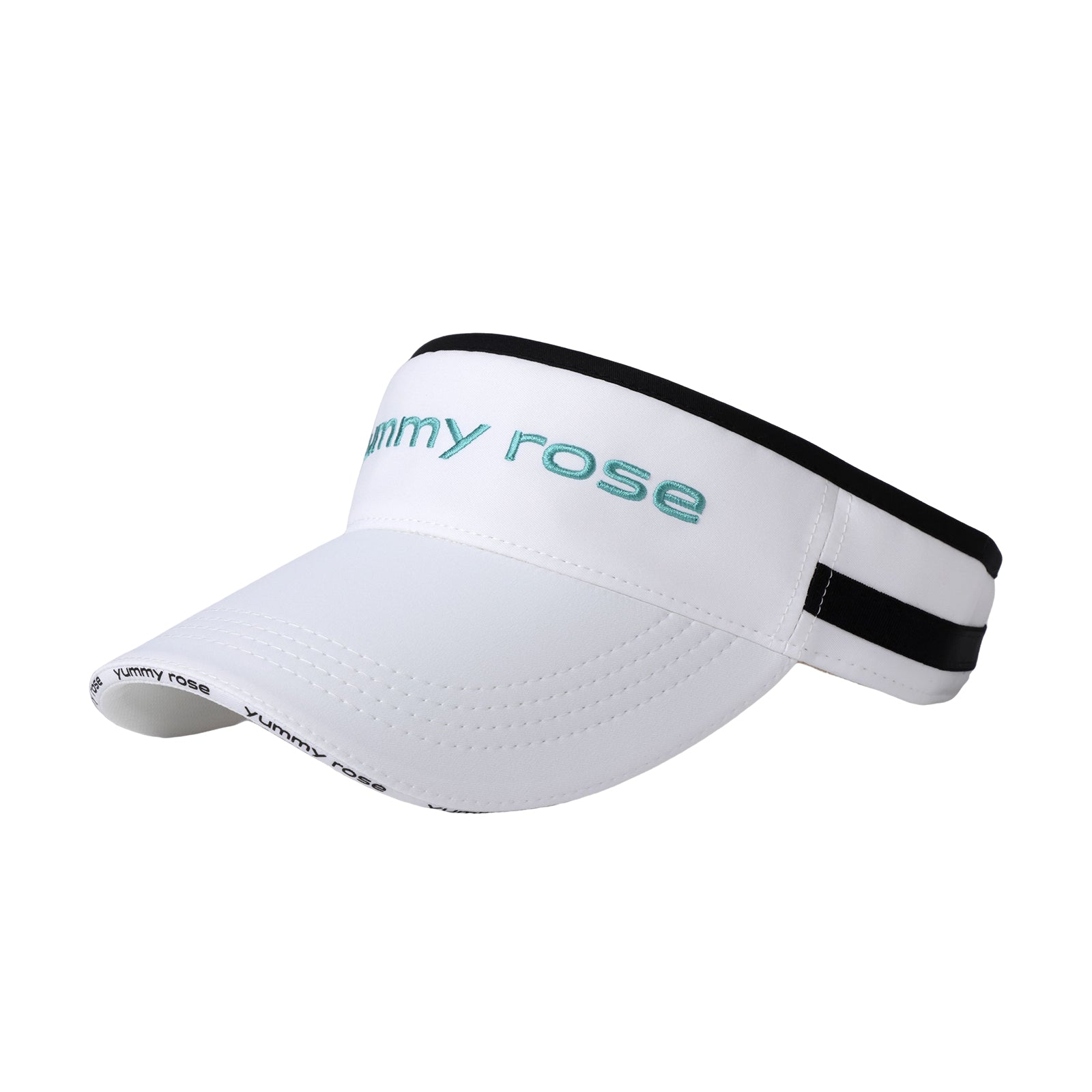 Logo Visor Ⅱ